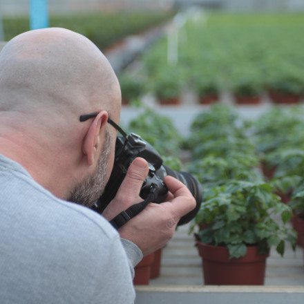 Bunnik Plants 38645